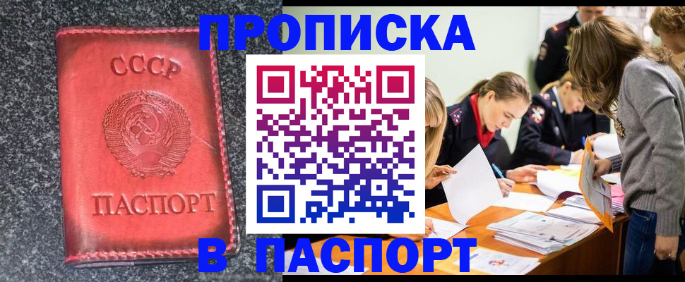 прописка для школы в Ивантеевке